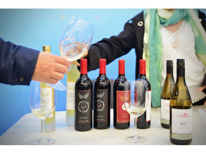 列治文總商會與越南 CAPA 訪問團簽署合作意向書